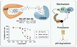 PBD-PROTAC-300x184 Home