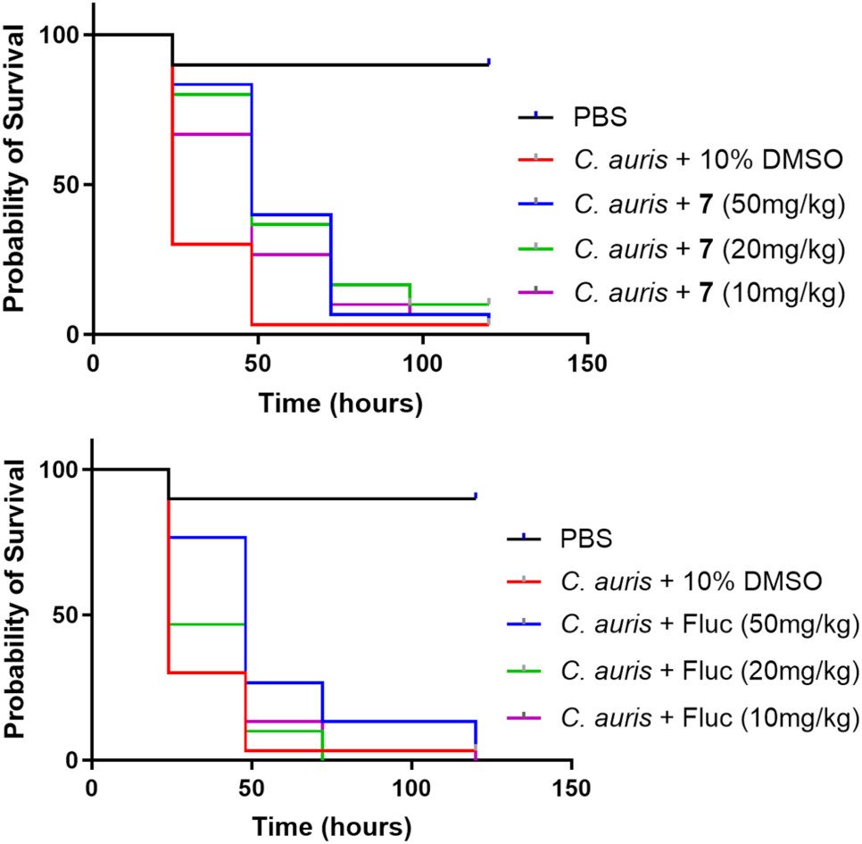 images_large_jm5c01253_0006 New Breakthrough: Novel Azole-Based Compounds Against MDR C. auris